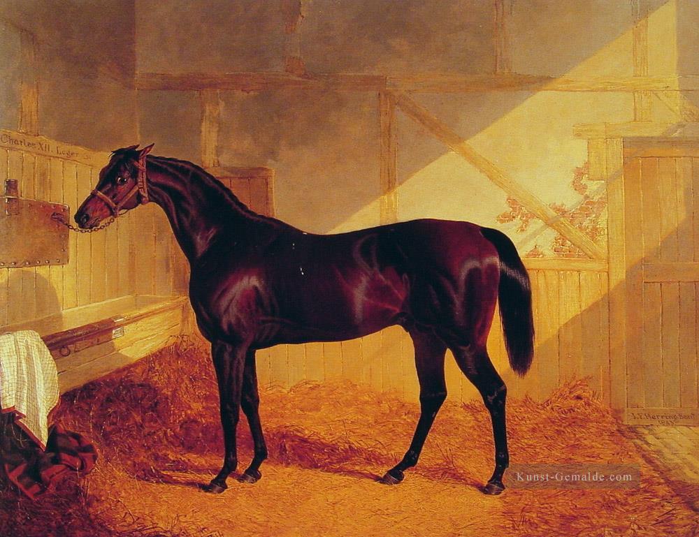 Herr Johnstones Karl XII in einem Stall Herring Snr John Frederick Pferd Ölgemälde